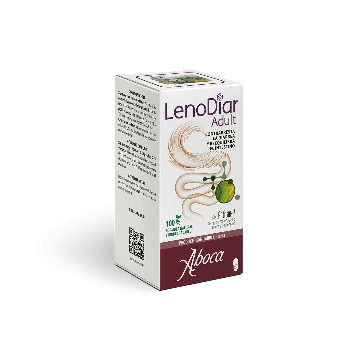 Lenodiar Adulto