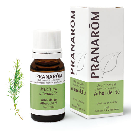 Aceite Esencial Arbol Del Te Bio 1 Envas