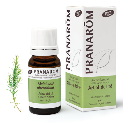 Aceite Esencial Arbol Del Te Bio 1 Envas