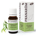 Aceite Esencial Eucalipto Radiata Bio 1
