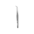 Pinza Diseccion S/Diente
